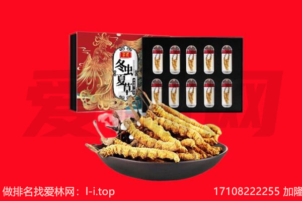 三明回收虫草.jpg